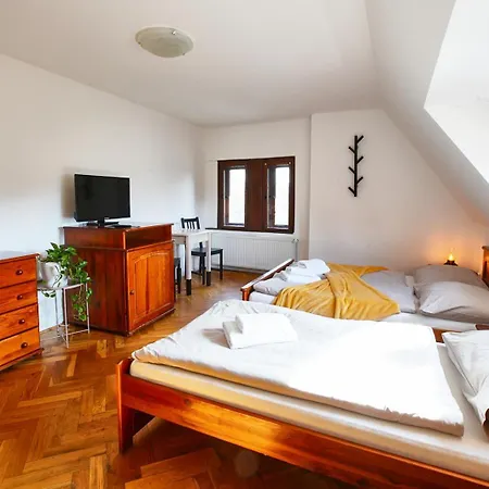Penzion Pivovar Volt Гостевой дом 3*